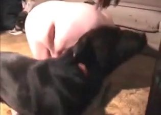 Fat man is banging a couple of dogs