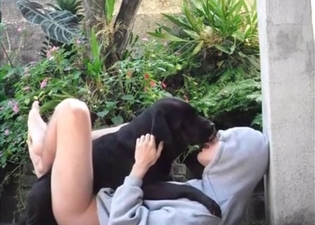Hot zoophile is enjoying sex with a dog