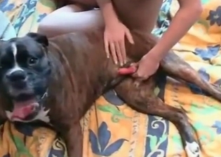 Juicy slut is playing with a dog