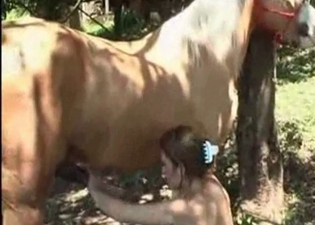 Unstoppable animal is banging a chubby lady