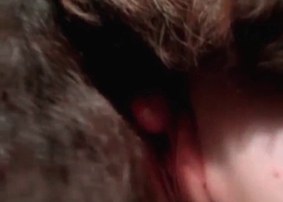 Black dog can't stop penetration her cunt