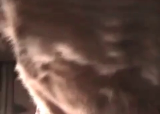 Dirty oral fuck with a puppy