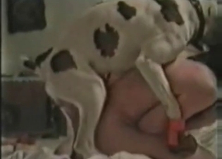 Sensual puppy wants to feel orgasm