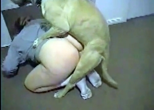 Quick fuck session with a big dog