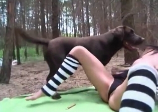 Sensational puppy gets banged in a street