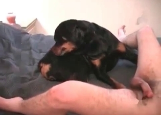 Restless zoophile is banging a hound