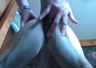 Dirty hound is enjoying ass fingering