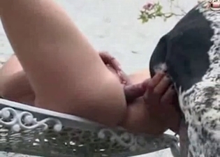 Pleasing a small dog with excitement