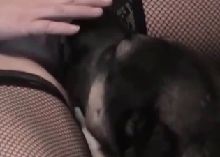 Sexy blondie loves playing with a pet