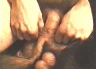 Great close-up animal sex