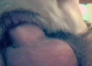 Bedroom can be a great place for zoo sex