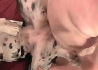 Sex-hungry puppy is giving a BJ
