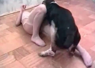 Unstoppable hound is punishing a tiny model