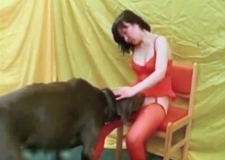 Zoo fuck video featuring Asian beauty