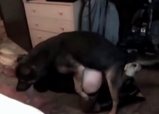 Kinky whore is letting her pet fuck her