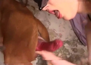Masked chick knows how to suck a doggy