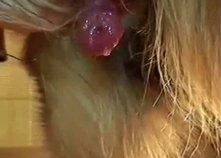 Nice to see how doggy dick is cumming