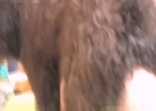 Hairy doggy fucks my sis in the bedroom