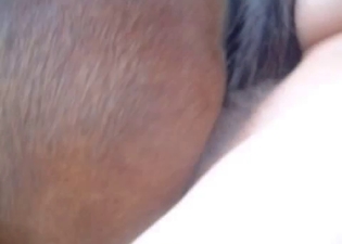 Male cock looks gorgeous in horse asshole