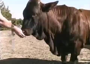 Dude happily sticks his cock wherever