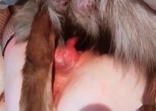 Close-up gape (retro zoo porn)