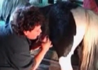 Fat MILF getting gaped by a horse