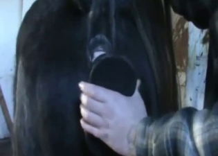 Impressive outdoors bestiality