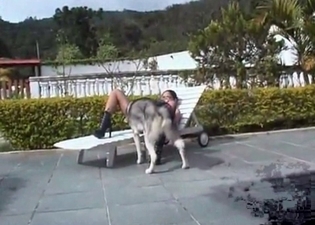 Wild puppy is pushing its dick into hot babe's twat