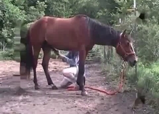 She is happy to be fucked by a horse