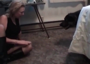 Sweet puppy is enjoying oral sex