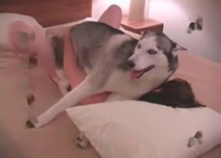 Anal fuck for a little puppy
