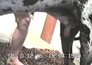 Sexy chick gets her cunt licked by a dog