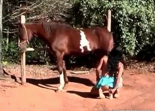 Dirty babe is making a horse happy