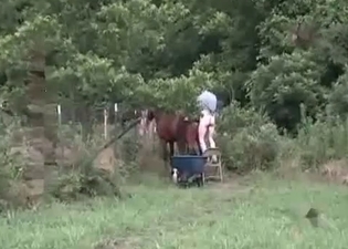 Ass fucking session on a farm