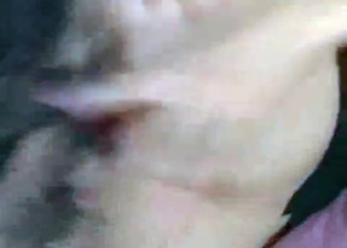 Amateur zoo fuck clip starring a doggy