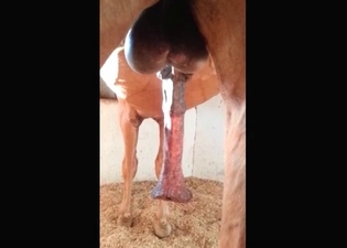 Unstoppable beast with a huge dick