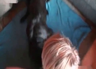 Passionate doggy gets banged in a room
