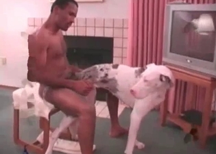Sexy puppy gets pleased by a zoophile