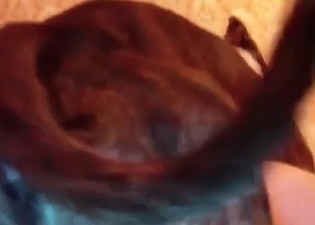 Massive load of jizz from a hound