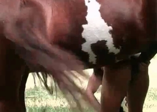 Big horse loves both of these zoophiles
