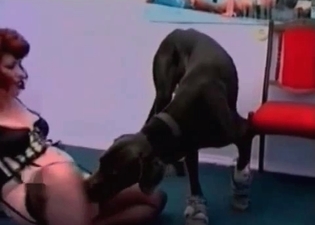 Zoophile is playing games with a massive dog