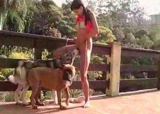 She is going mad fucking with two puppies