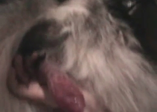 Really rough animal sex in high def
