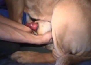 This slut is a deeply in love with her pet