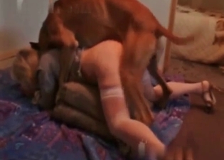 Brutal dog is ready for having sex with a slut