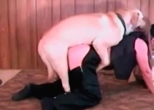 Watch a doggy practicing sex with a human