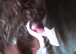 Wild puppy is taking part in oral sex