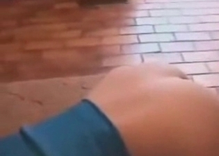 Gentle doggy is going to be punished