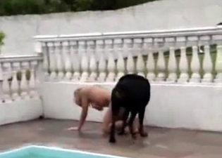 Crazy animal sex outdoors