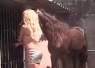 Powerful stallion can't stop banging a slut